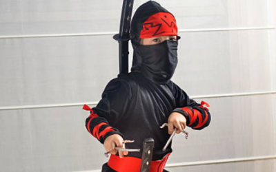 Incursion – Ninja and Samurai Encounter