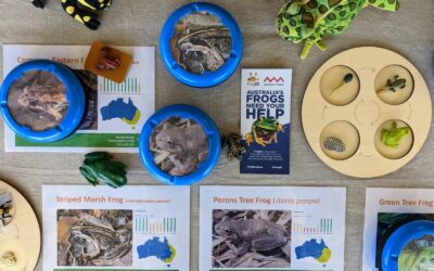 Incursion – Full Day Eco Guardians