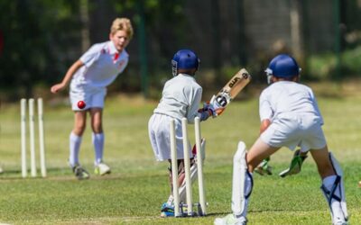 Incursion – On the Cricket Pitch
