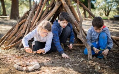 Excursion – Bush Survivor