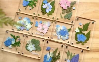 Incursion – Pressed Dried Flowers