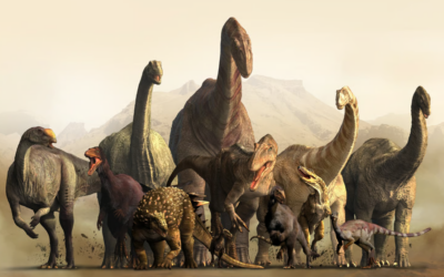 Incursion – Fossil Finders