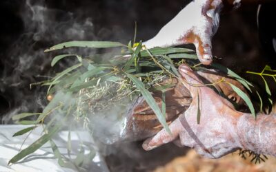 Incursion – Indigenous Farming & Fire Knowledge