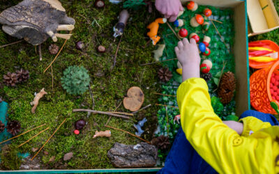 Incursion – Australia’s 5 Habitats