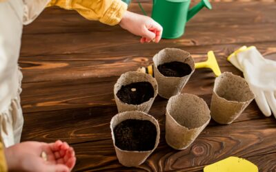 Incursion – Planting for Sustainability