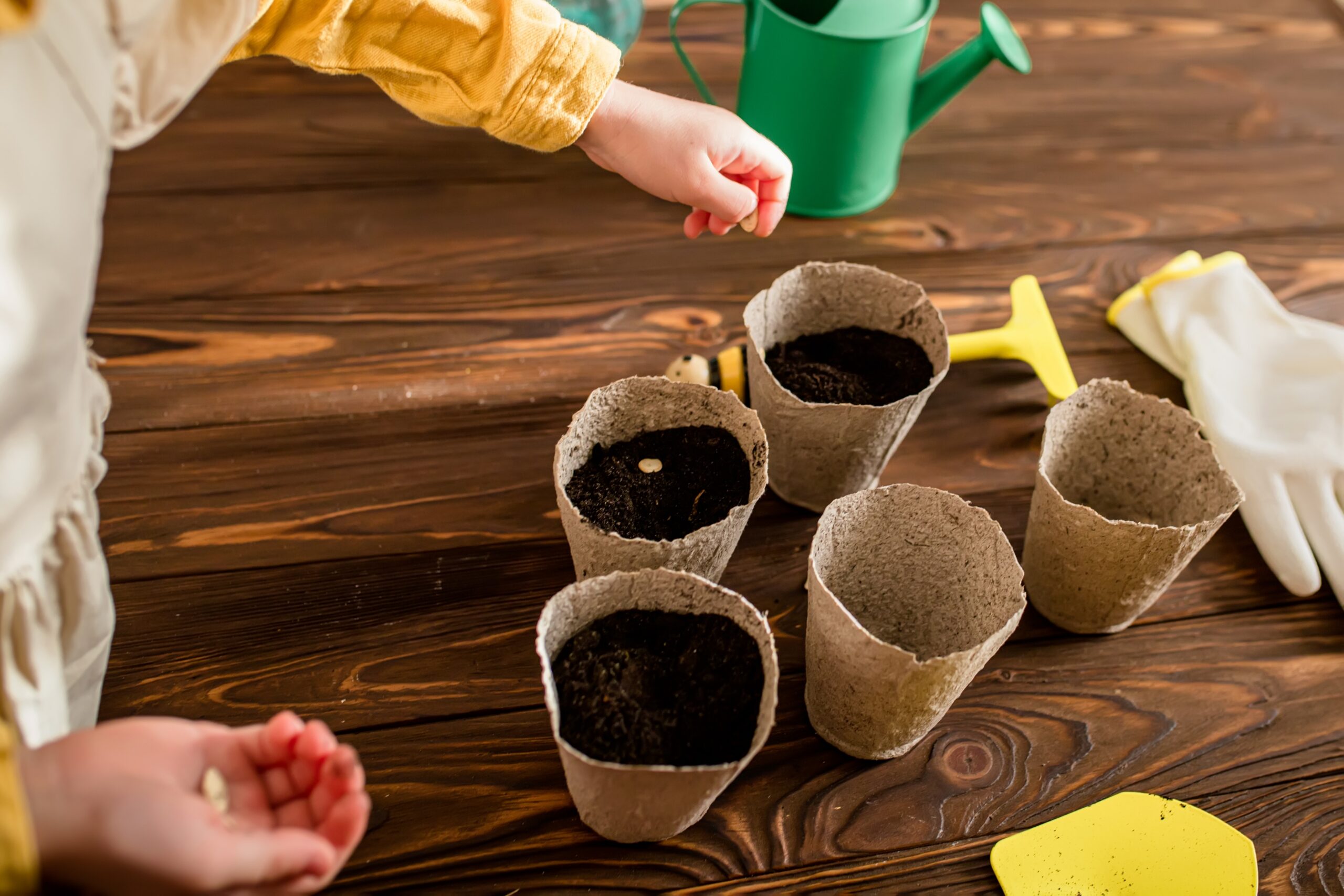 Seeds,In,The,Hands,Of,A,Child.,A,Small,Farmer